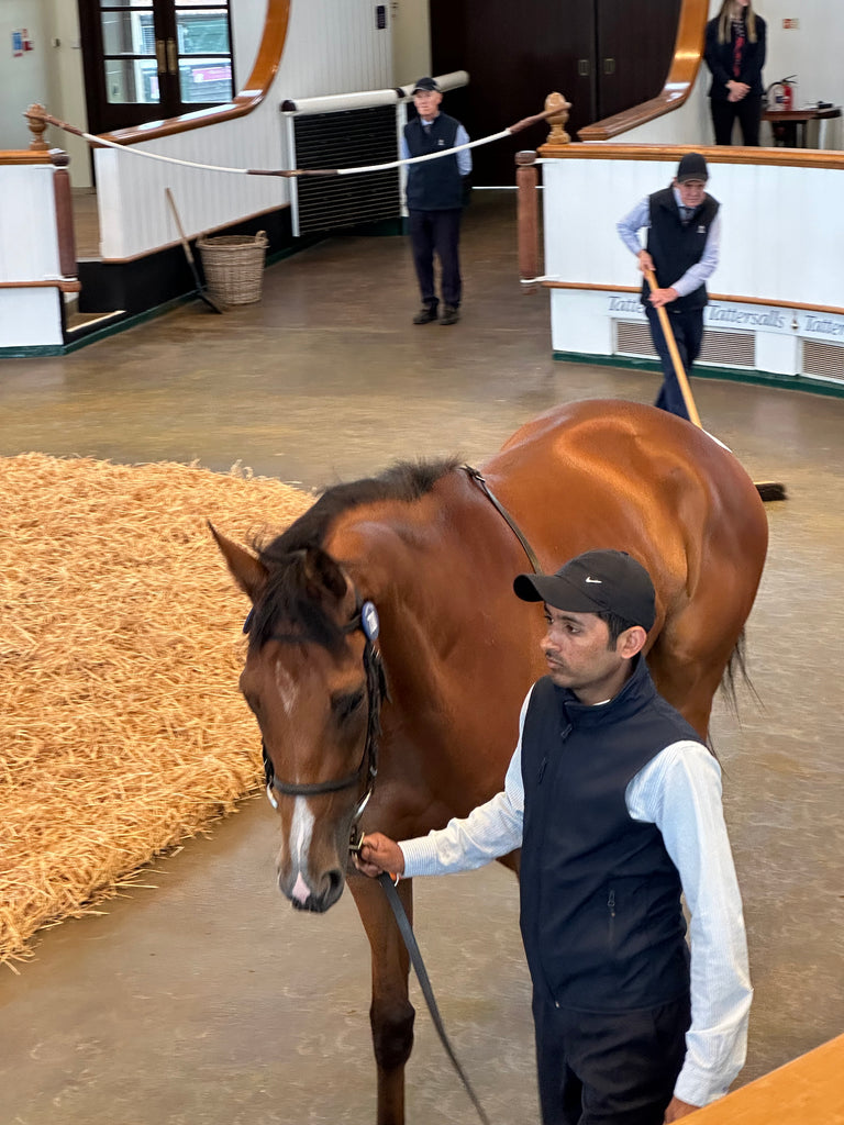 Prime your Yearlings for Success