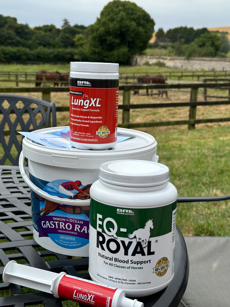 Race Ready: The Ultimate Tool Kit for Peak Condition